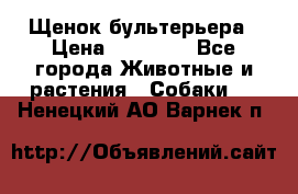 Щенок бультерьера › Цена ­ 35 000 - Все города Животные и растения » Собаки   . Ненецкий АО,Варнек п.